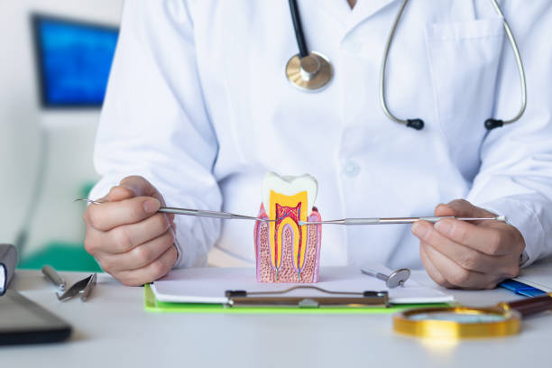 Emergency Dentist for Kids in MD
